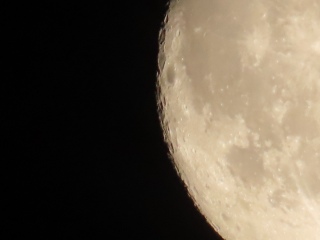 �����l�̂ł��ڂ�