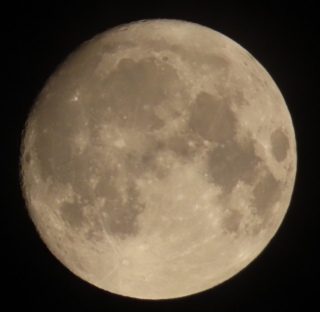 �����[�N���X�}�X!