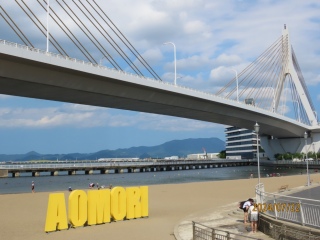 �X�w�`�J�̕l��