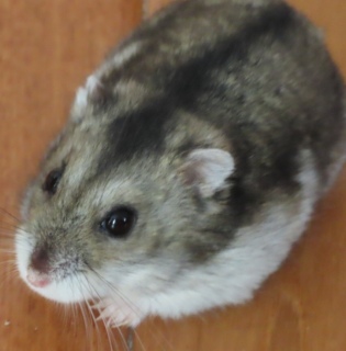 ���n������