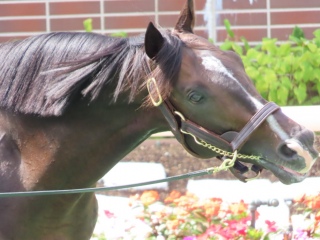 �����܂��Ă��߂Ń^�C�g���z���_�[