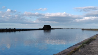 �X�q��̗[���