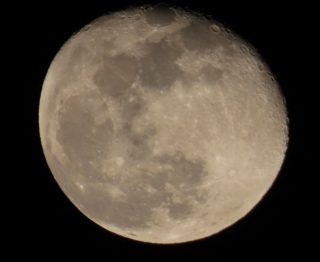 �����̌�