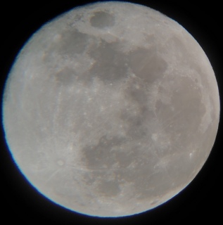 �X�m�[���[��(2���̖���)