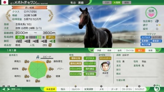 �����̈���(�E�C�|2024)